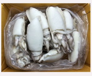 갑오징어홀200/300