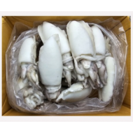 갑오징어홀200/300