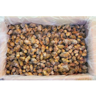 오만둥이(국산)