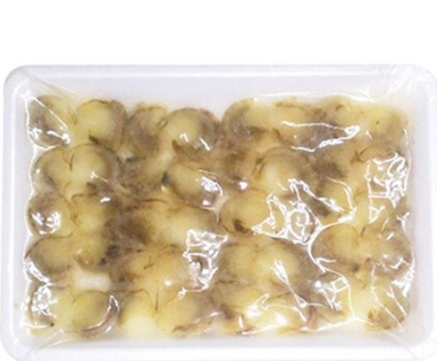 초가리비6g(아이씨/중국)