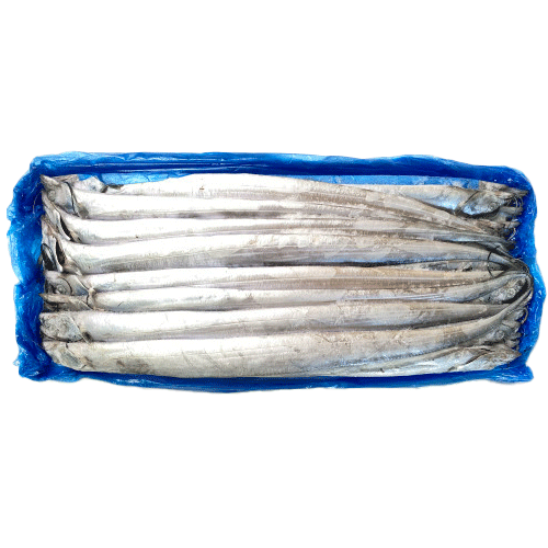 갈치400/500(예멘)벌크