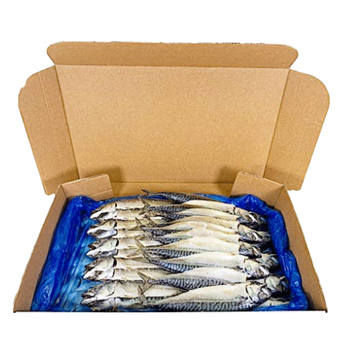 간고등어20손(국내산)