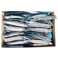 꽁치1번(A급/대만)