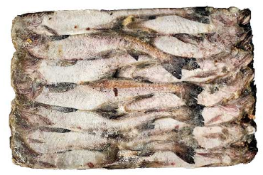 명태6통(러시아)