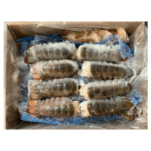 랍스터(냉동)