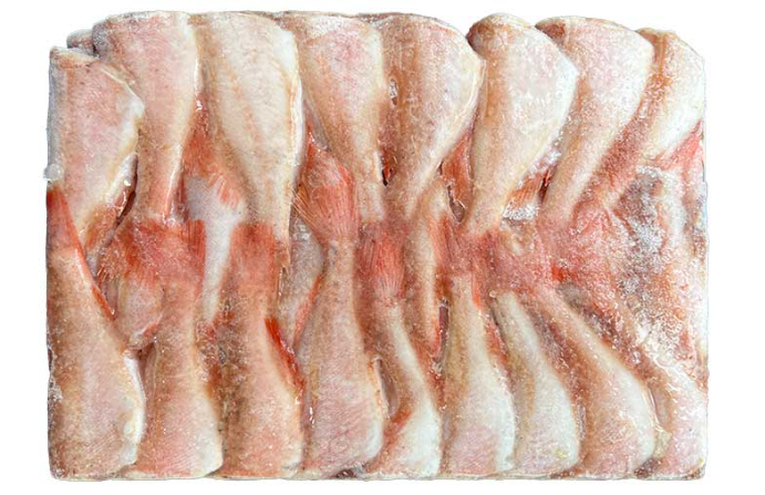 두절적어3S(포르투갈)