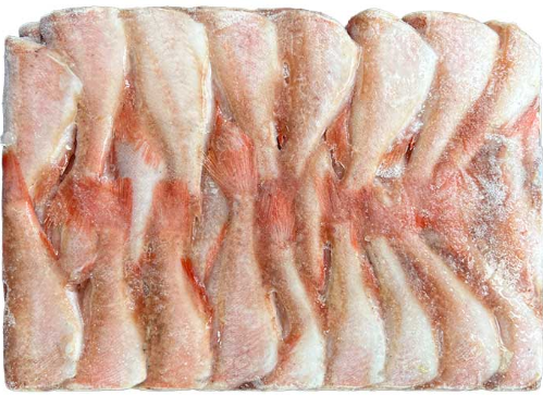 두절적어3S(포르투갈)90마리전후