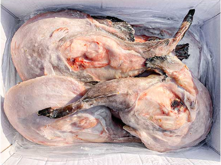 아구5미(통)중국/문등