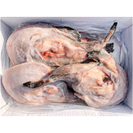 아구5미(통)중국/문등