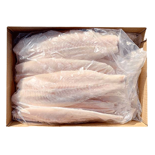 참메기살(팡가시우스/구이용)벌크