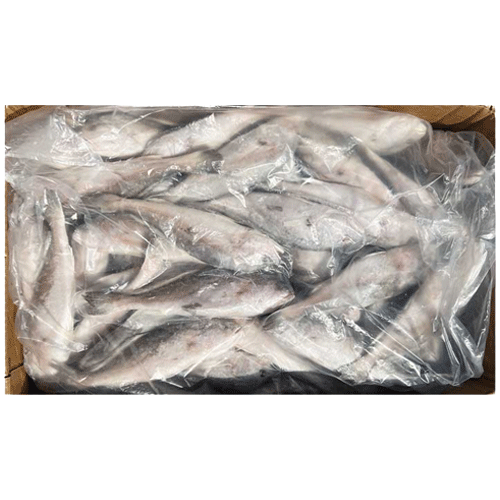 참조기150/200(중국산/52마리전후)