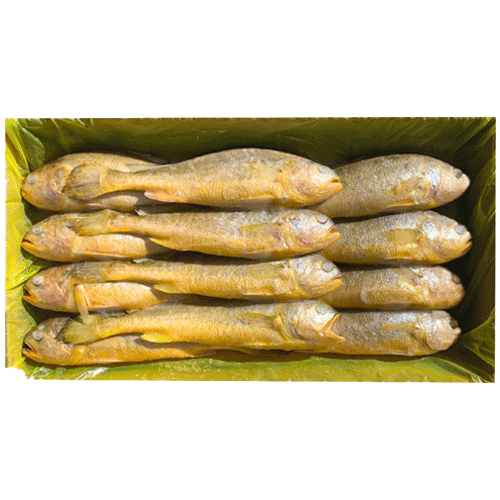 부세조기9미(400/500/중국산)