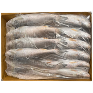 민어조기5P(세네갈)