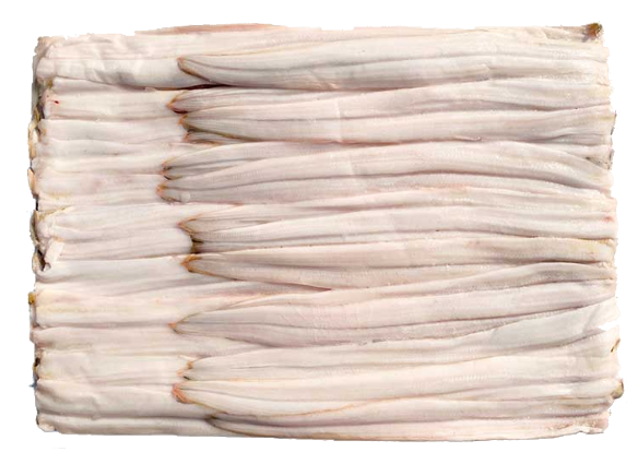 바다장어필렛46/50(페루)벌크