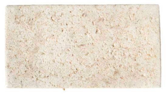 대구곤이벌크(미국)