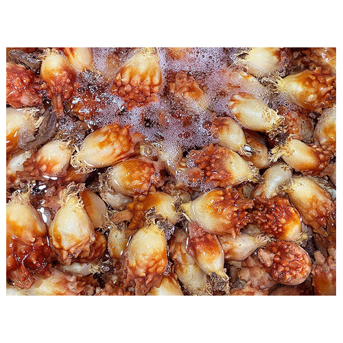 멍게(냉동)
