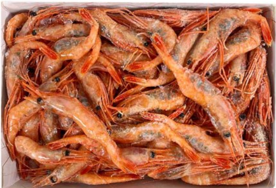 단새우(냉동)