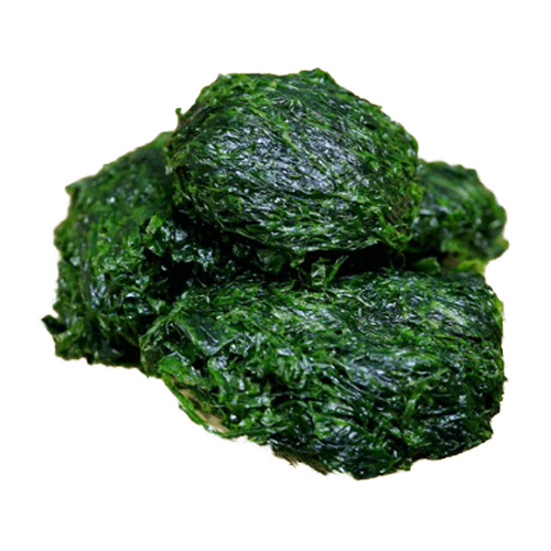 파래_2kg판