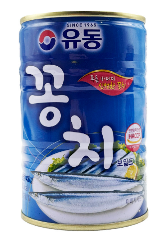 꽁치캔小
