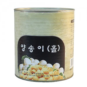 양송이홀캔(화풍)